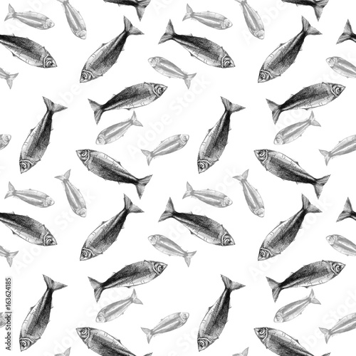 Watercolor drawing seamless pattern with fish, herring on white background, minimalism style, pencil sketches, on a theme of summer, underwater and sea life in sea and ocean for design and decoration