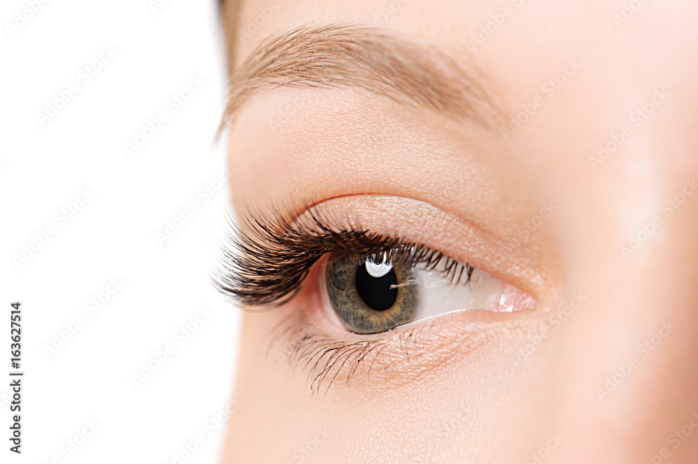Fototapeta premium Closeup shot of female eye with day makeup