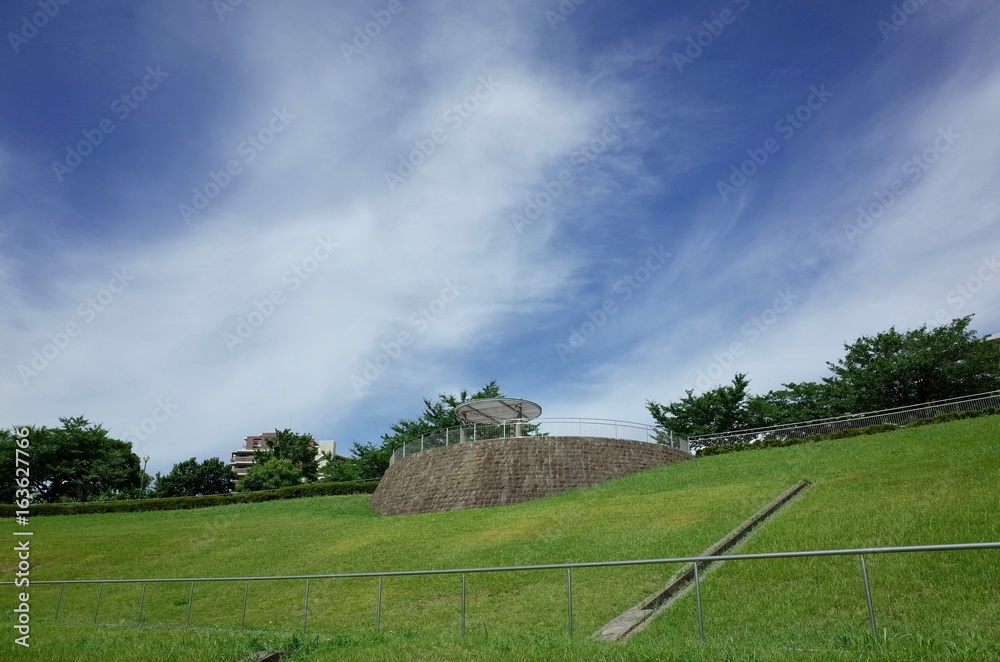 Fototapeta premium 初夏の公園