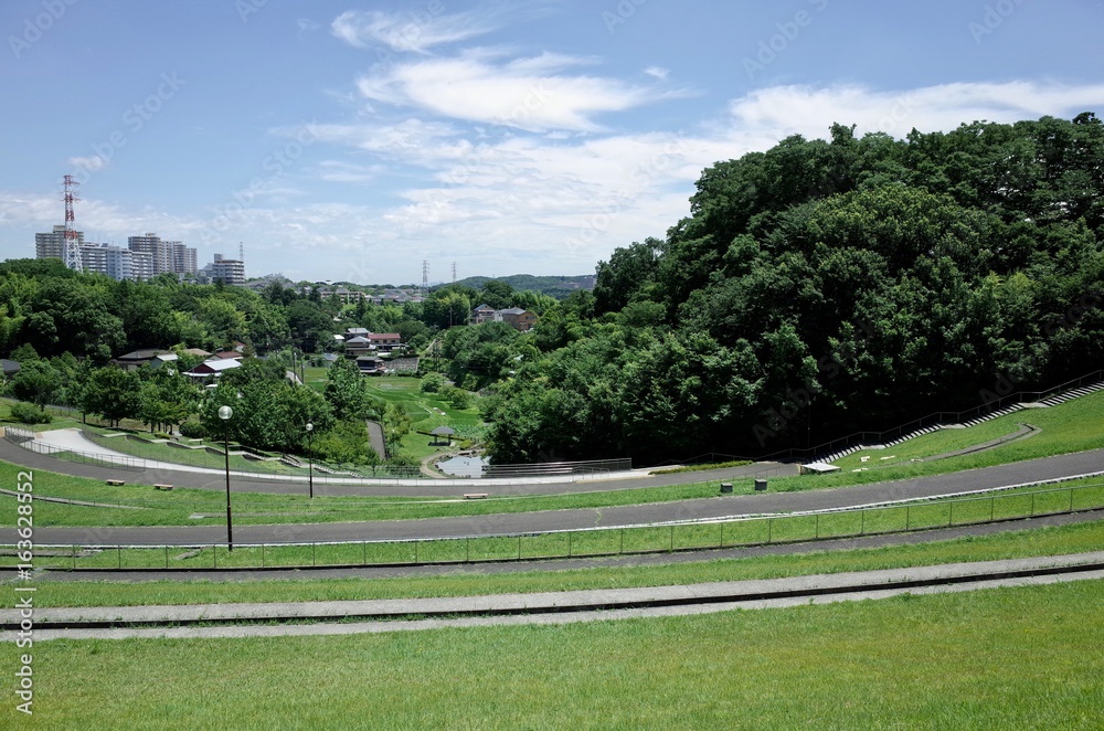 custom made wallpaper toronto digital初夏の公園