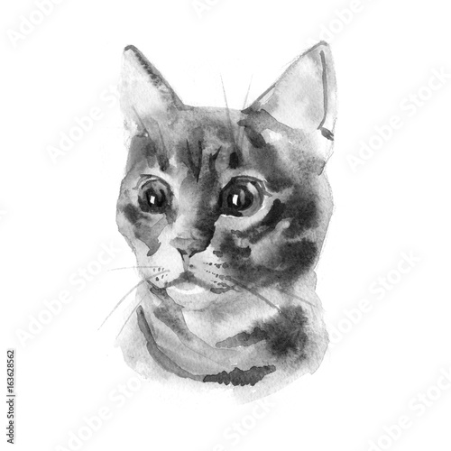 Bilde på lerret European shorthair cat red tabby, kitten lies on white background, isolated, hand draw watercolor painting