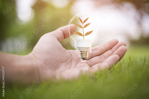 male hand hold light bulb, save earth concept