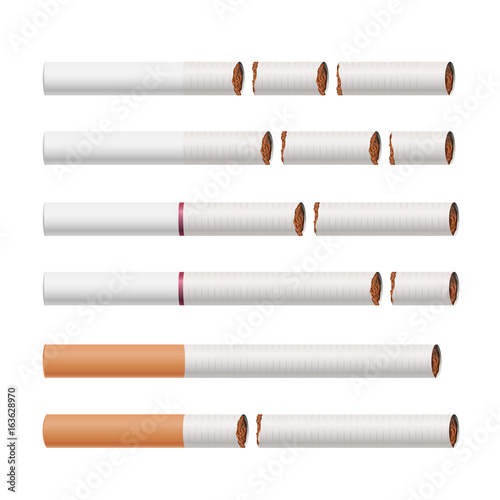 Broken Cigarettes Vector. Smoking Kills. Medical Healthcare Quit Smoking Concept. Tobacco Leaves. Realistic Illustration. Isolated On White.