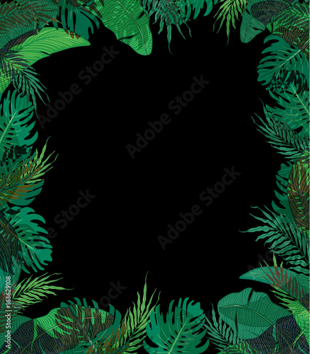 Cute frame with summer tropical leaves