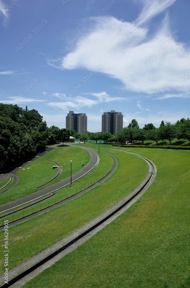 初夏の公園 初夏の公園