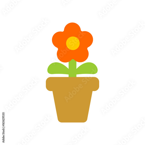 Flower in pot isolated. Homemade plant of red flower on white background