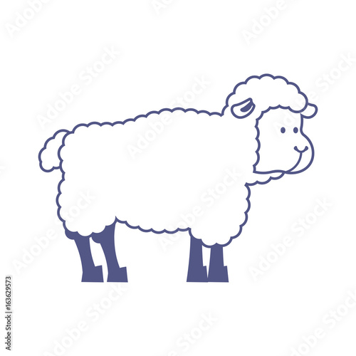 Sheep farm isolated animal. ewe on white background