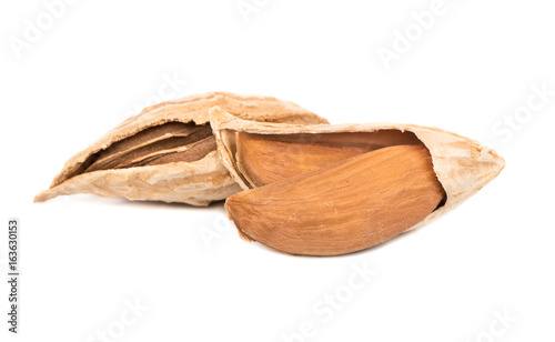 Uzbek almonds in shell