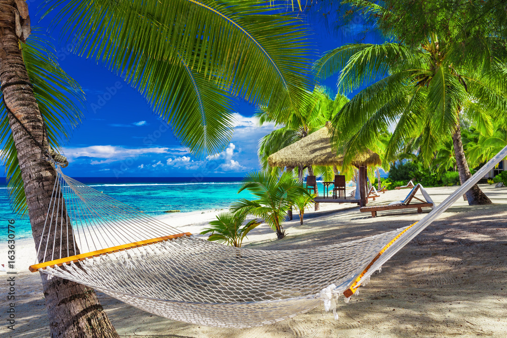 Ταπετσαρία Hammock between palm trees on tropical beach of Rarotonga, Cook Islands, South P