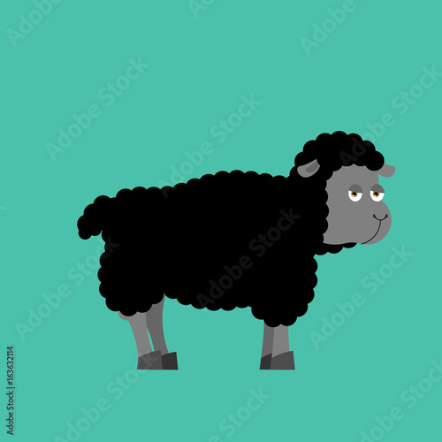 Black Sheep farm isolated animal. dark ewe on white background