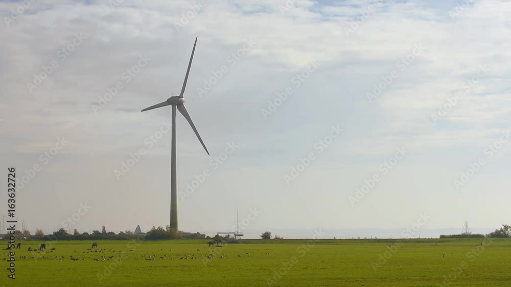 Rural landscape with working wind turbine. Netherlands Rural landscape with working wind turbine. Netherlands