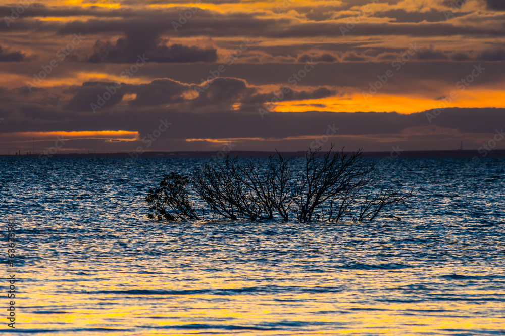 Φωτογραφία Golden sunset at Weeroona Island located in Germein Bay South Australia