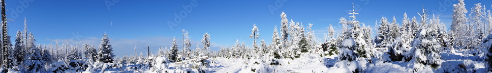 Schneelandschaft Panorama 180° Schneelandschaft Panorama 180°