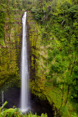 Die Akaka Falls im Akaka Falls State Park auf Big Island  Hawaii  USA.