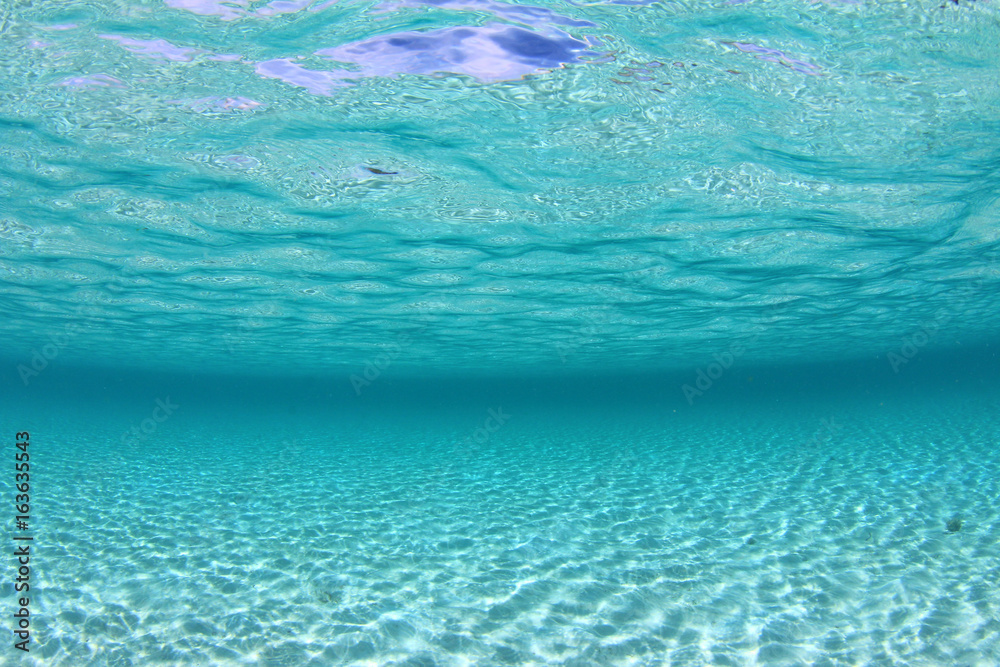 Underwater ocean background. Sandy sea floor and clear bue water Stock  Photo | Adobe Stock