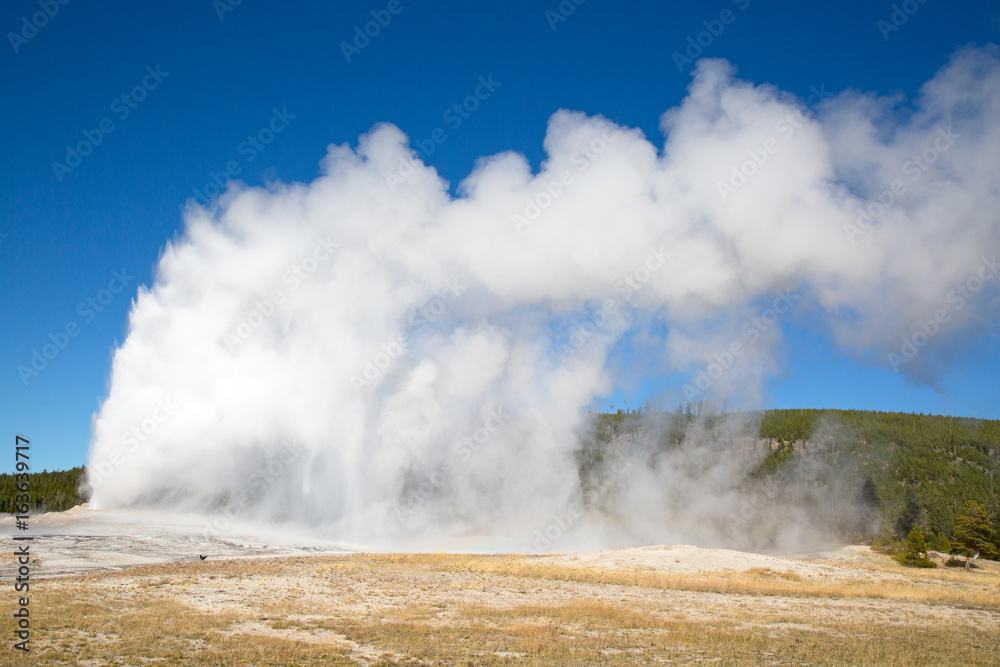 Fototapeta premium Geyser