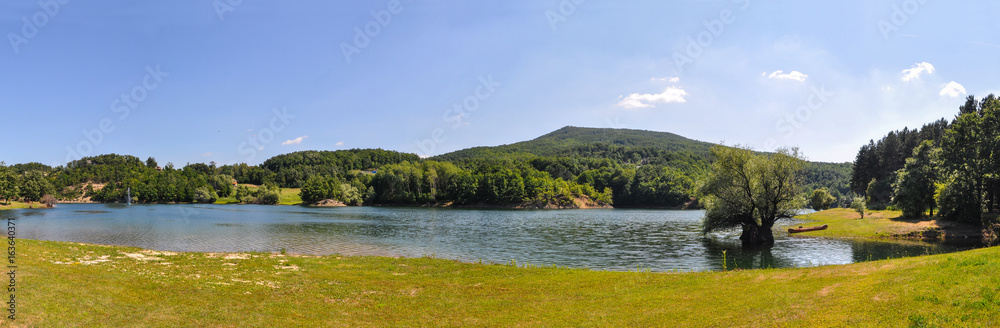 Beautiful mountain lake with lonely tree in water. Summer landscape with clean mountain lake