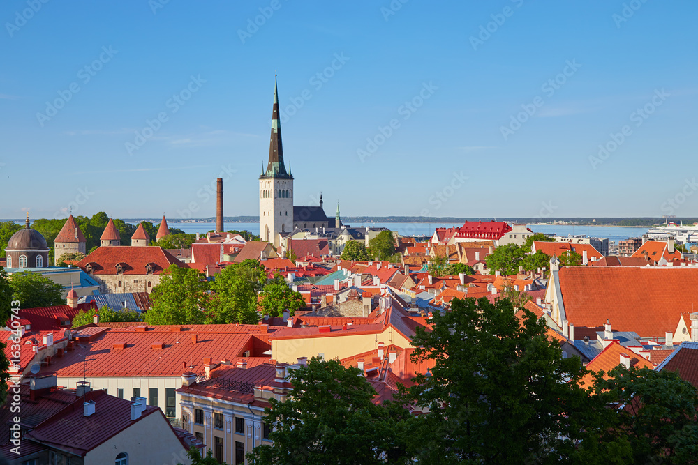 View of the city of Tallinn from the top in a clear sunny day.