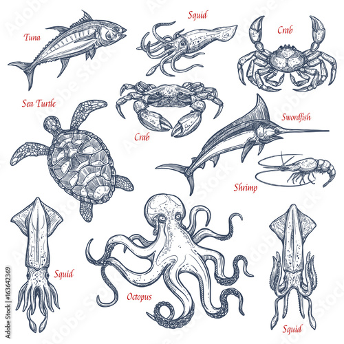 Sea animal isolated sketch set of seafood and fish