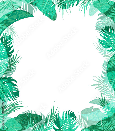 Cute frame with summer tropical leaves