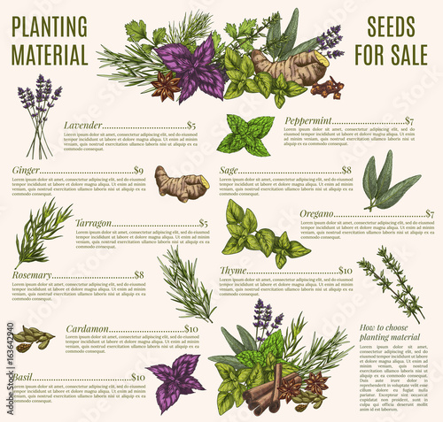 Herb and spice poster template for organic shop design