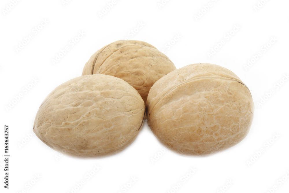 walnuts isolated walnuts isolated