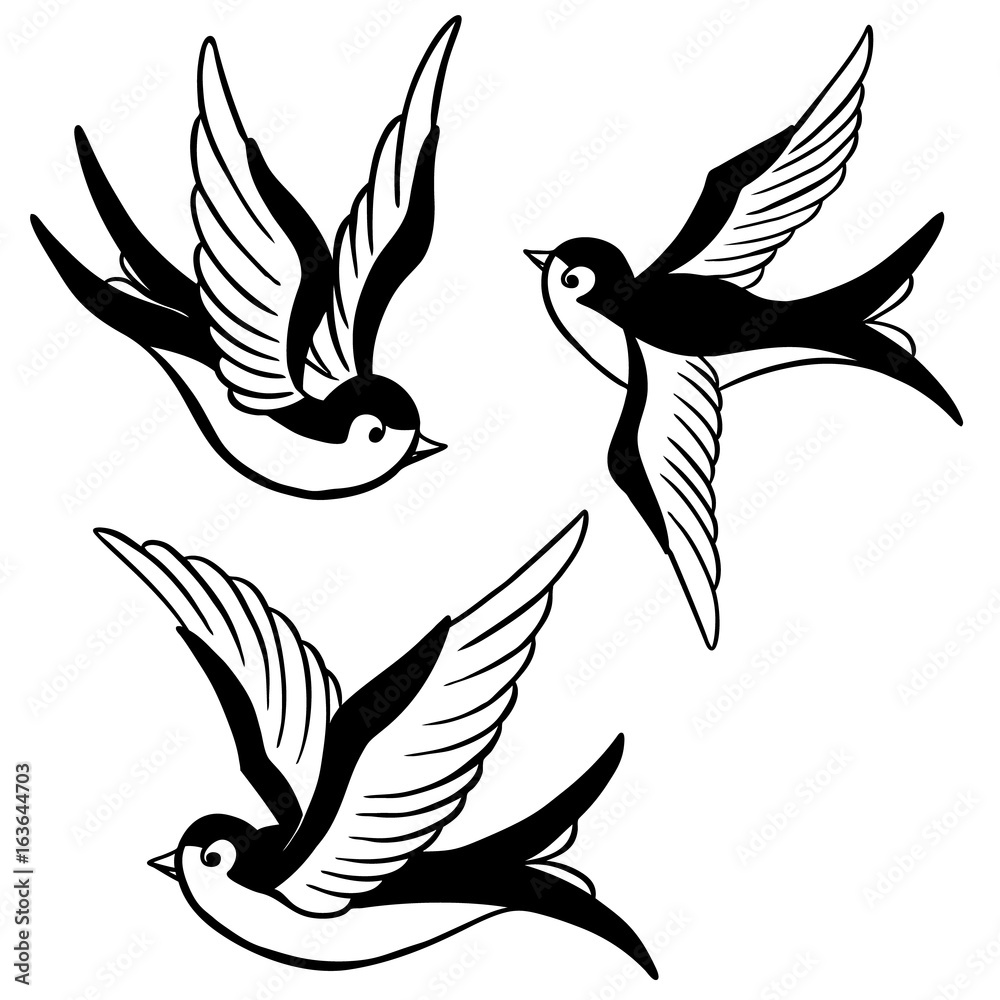set of the swallow icons. Design elements for poster, t-shirt. Vector illustration.