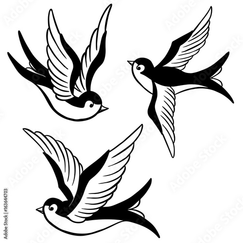 set of the swallow icons. Design elements for poster, t-shirt. Vector illustration.