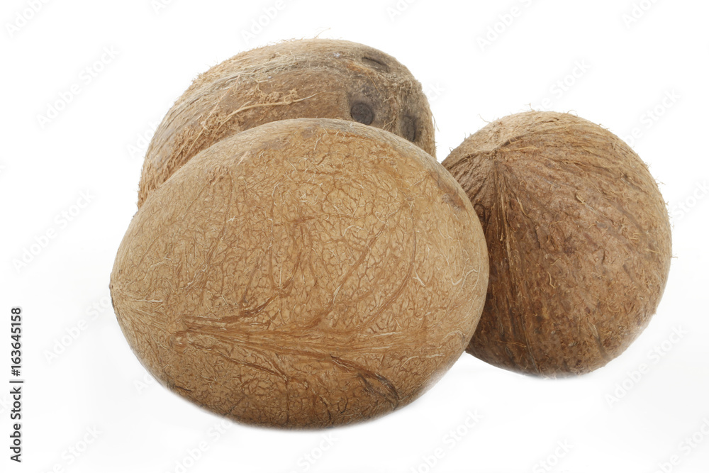 coconuts isolated coconuts isolated