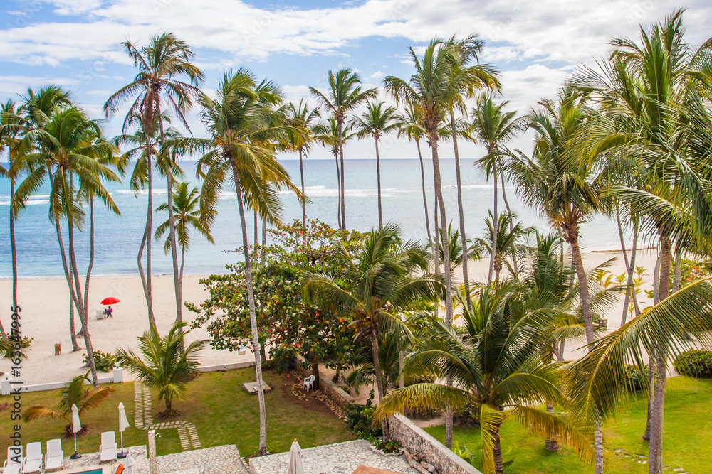 Fototapeta premium Beautiful beach view. Amazing ocean blue water with an island to water through palms at Caribbean sea.