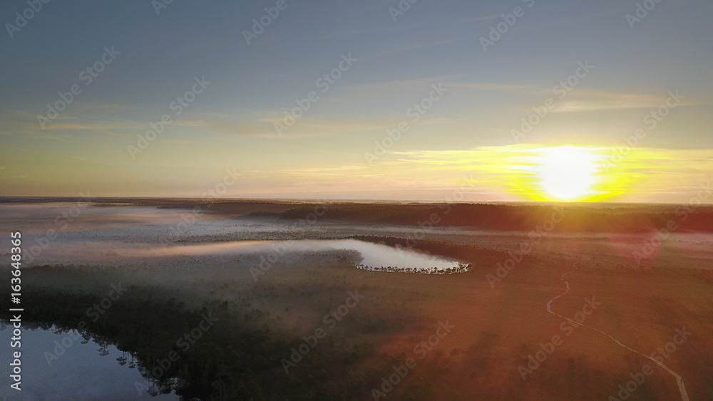 Drone photography & Swamps (bog) hiking track