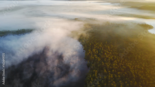 Drone photography & Swamps (bog) hiking track photo