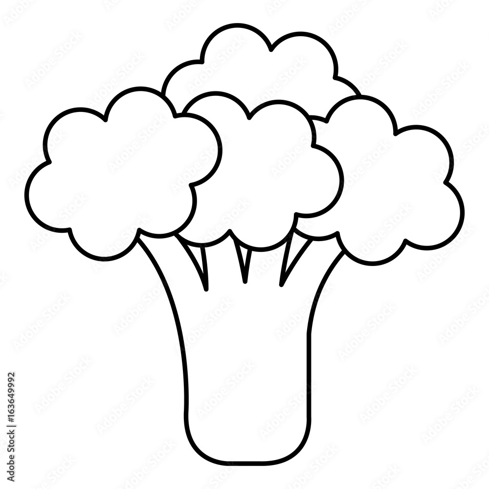 broccoli fresh isolated icon vector illustration design broccoli fresh isolated icon vector illustration design