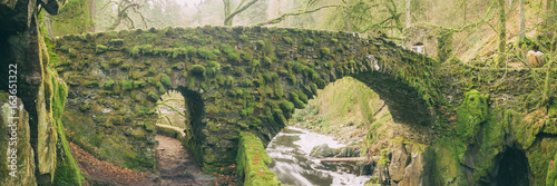 Photos Old, lichen and moss covered stone bridge over the  the River Braan in the Hermitage woodland