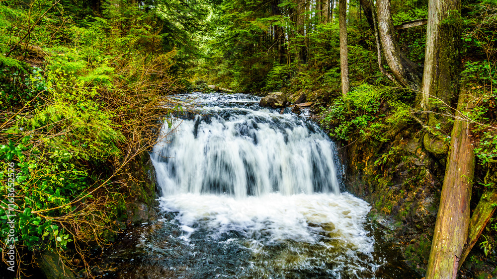 Upper Rolley Falls in the temperate rain forest of Rolley Lake Provincial Park near the town of Mission in British Columbia, Canada