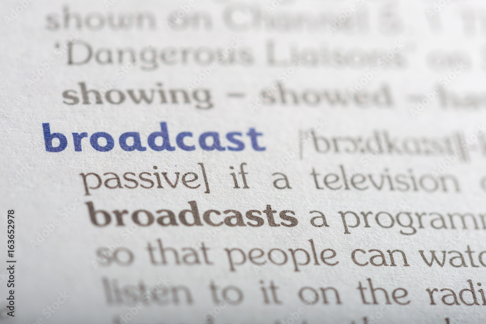 Dictionary definition of word