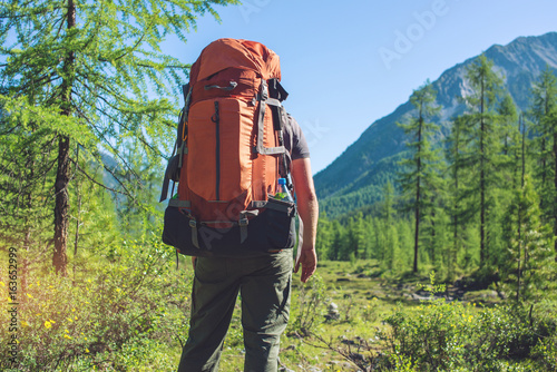 Healthy Active man with backpack hiking in beautiful mountain forest in the summer in the sun