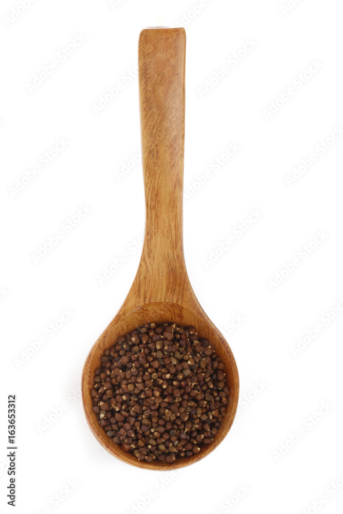 Aframomum melegueta in wooden spoon isolated Aframomum melegueta in wooden spoon isolated