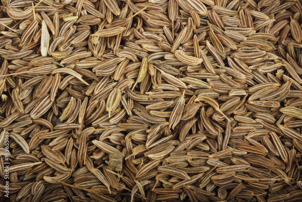 cumin (caraway) background