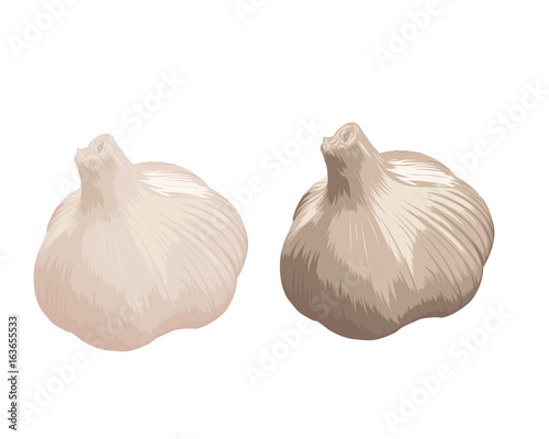 garlic icon over white background 