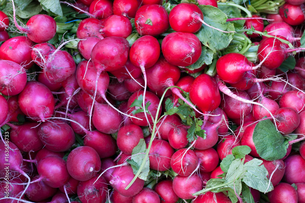 Radishes Radishes