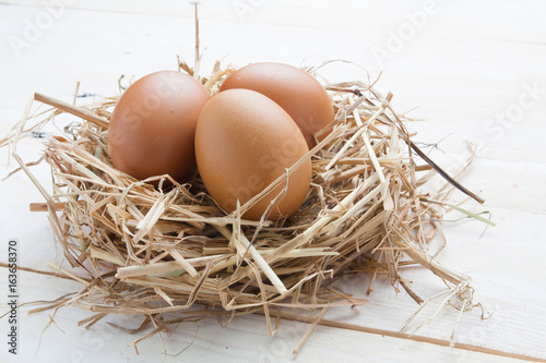 egg in nest on dark vintage wooden