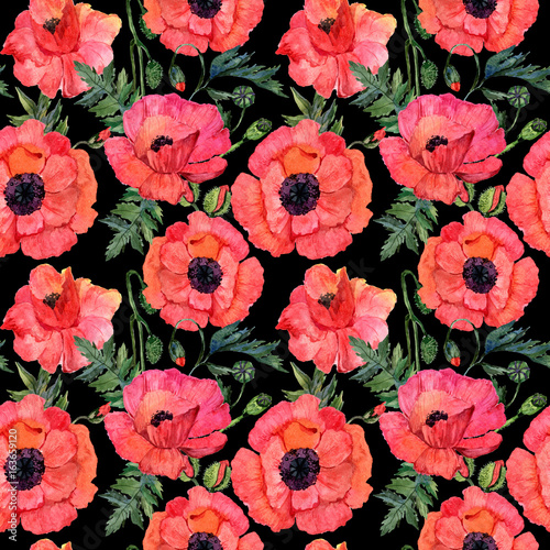 Wildflower poppy flower pattern in a watercolor style. Full name of the plant: poppy. Aquarelle wild flower for background, texture, wrapper pattern, frame or border. © yanushkov