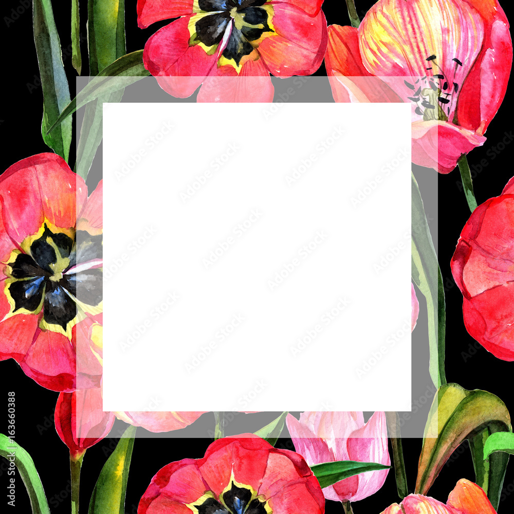 Fototapeta Wildflower tulip flower frame in a watercolor style. Full name of the plant: tulip. Aquarelle wild flower for background, texture, wrapper pattern, frame or border.