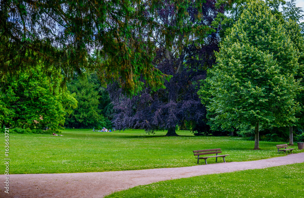 Two empty rustic wooden benches alongside a path or walkway in a tranquil verdant spring park with leafy green trees