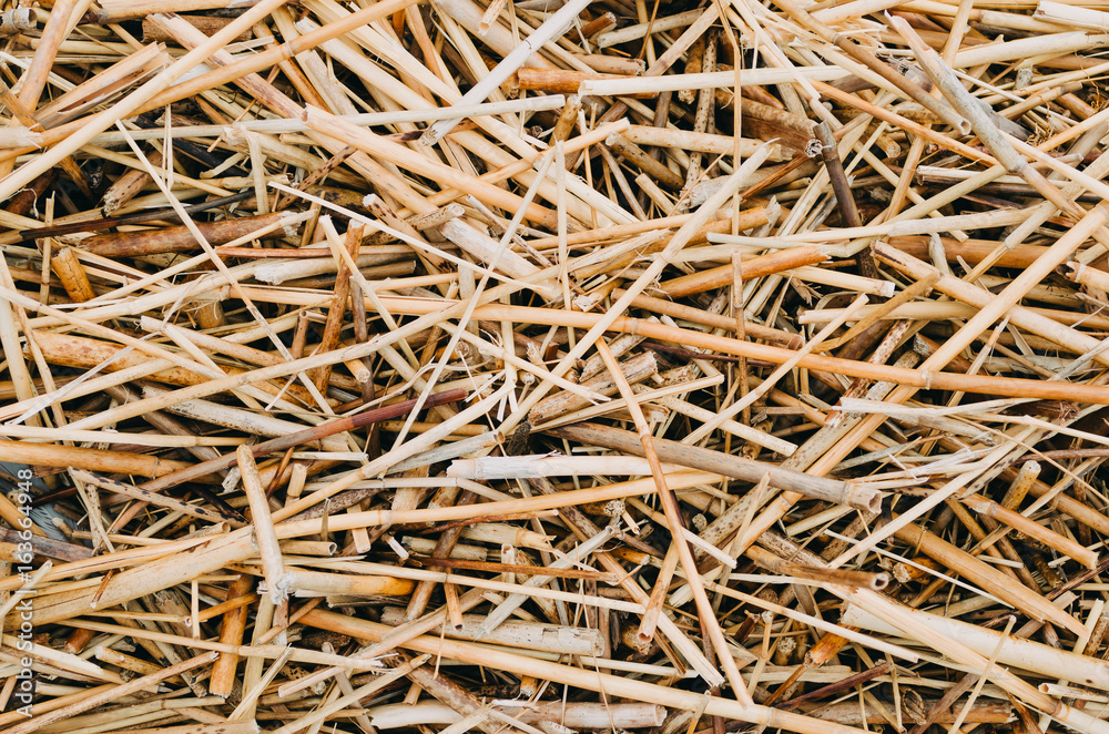Dry yellow straw grass background texture after havest. Dry yellow straw grass background texture after havest.