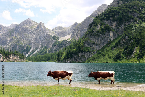 K  he stehen im Bergsee