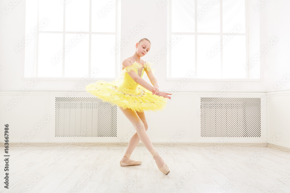Ballet student exercising in ballet costume Ballet student exercising in ballet costume