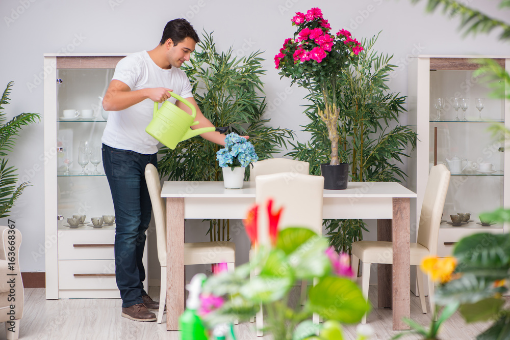 Young man in gardening concept at home Young man in gardening concept at home