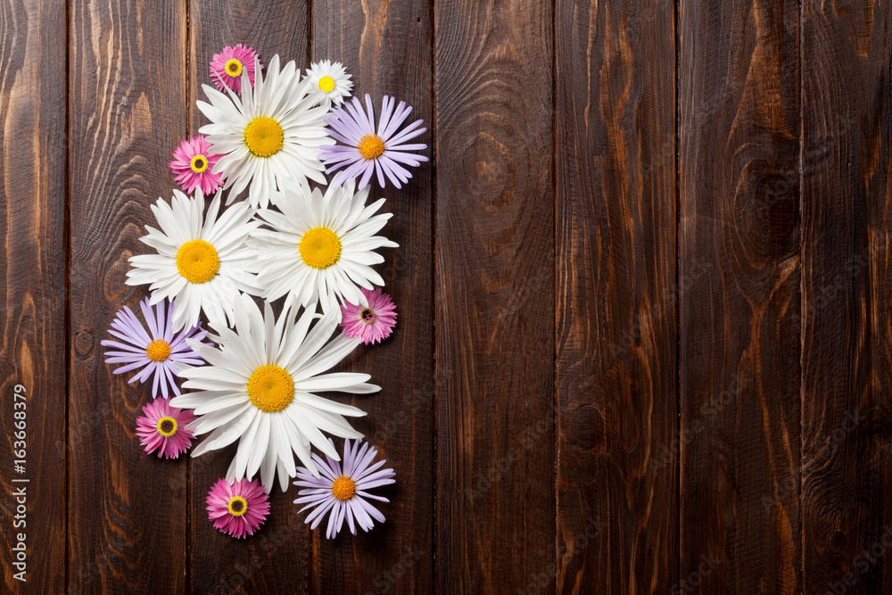 Obraz premium Garden flowers
